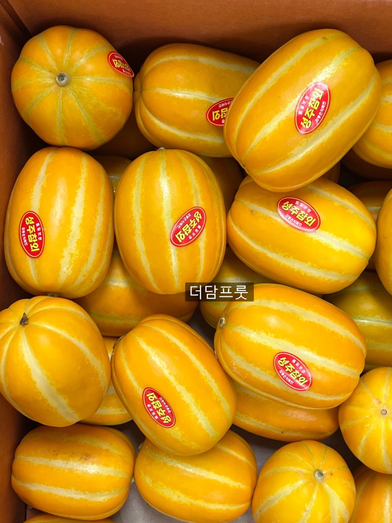 지금;과일 이미지