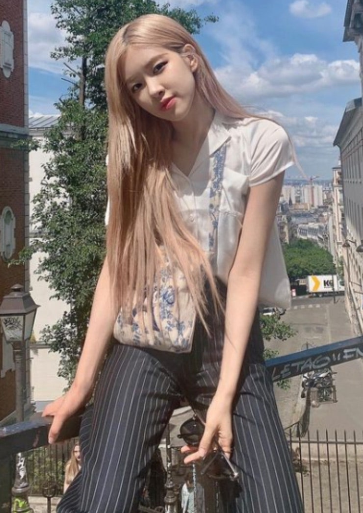 베이지해 이미지