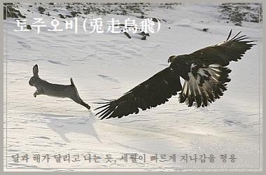 금오옥토 이미지