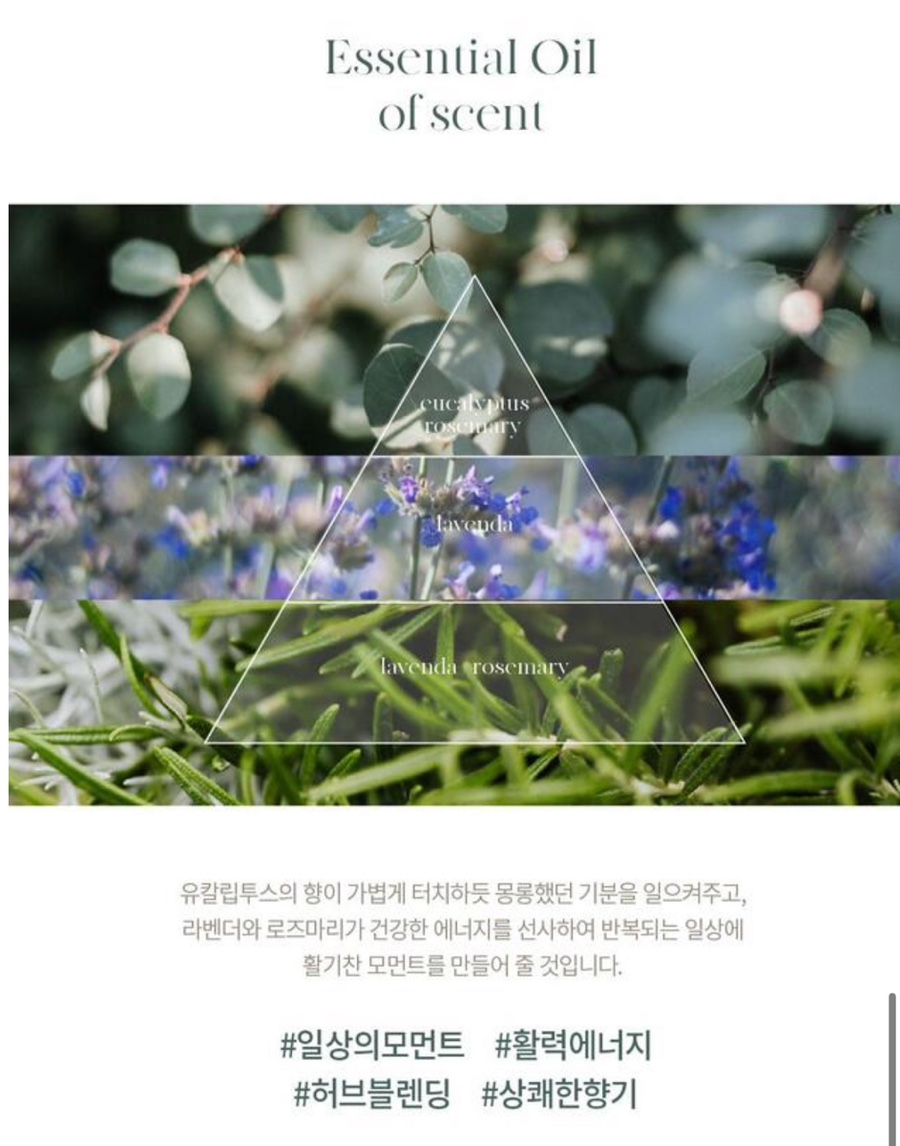 디어그리너 이미지