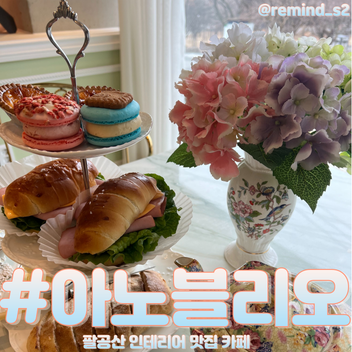 아노블리오 이미지