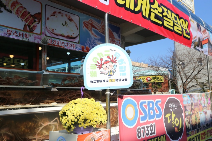 해송대게 이미지