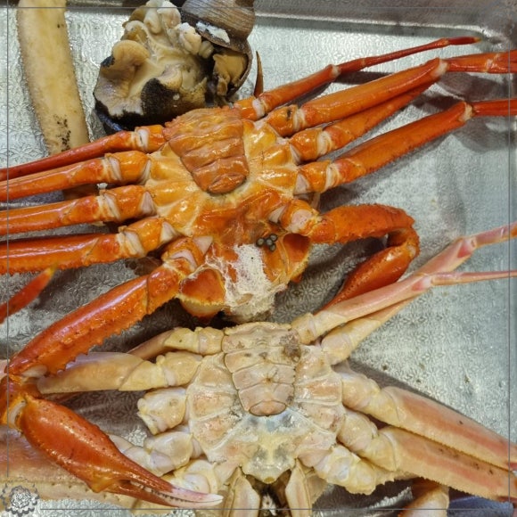 한마음대게수산 이미지