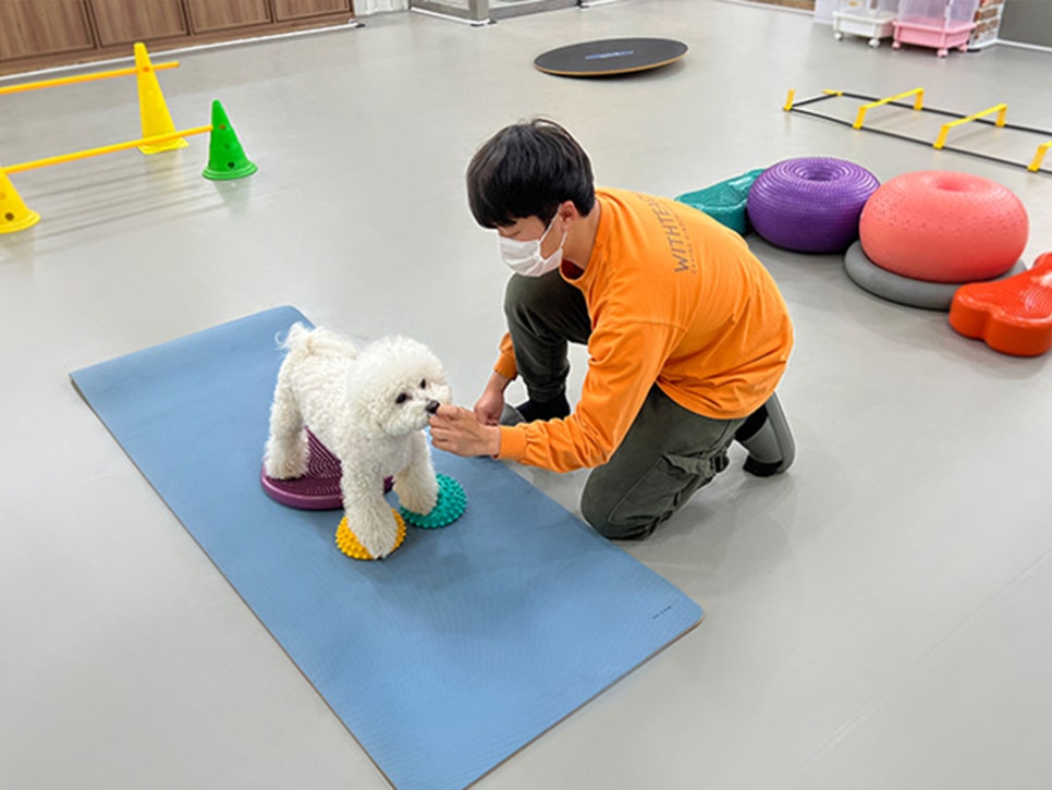 매트티쳐 이미지