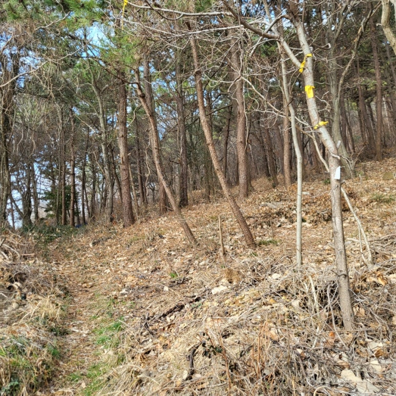 참편한주유소 이미지