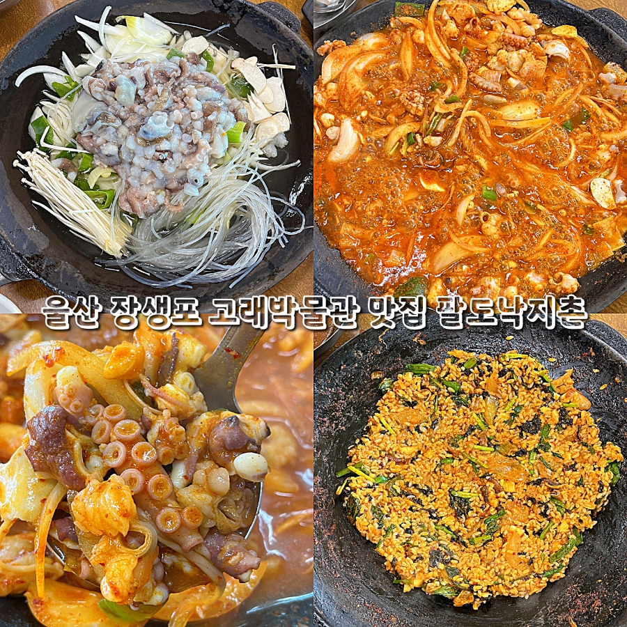 팔도낙지촌 이미지