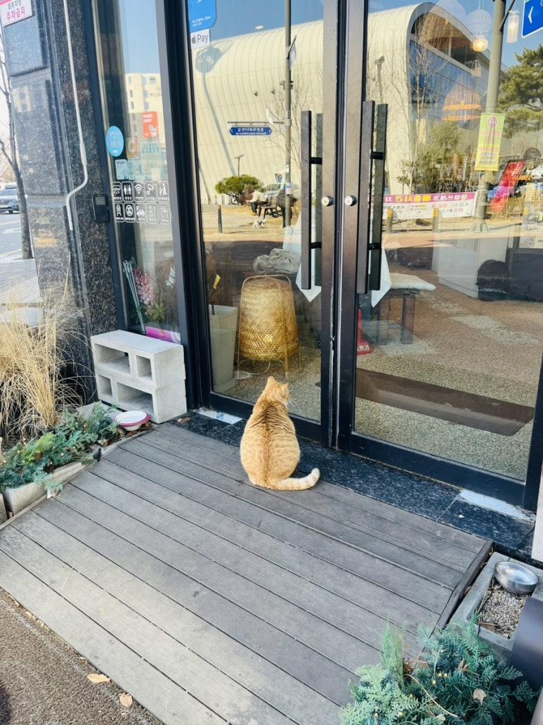 모젤온더테이블 이미지