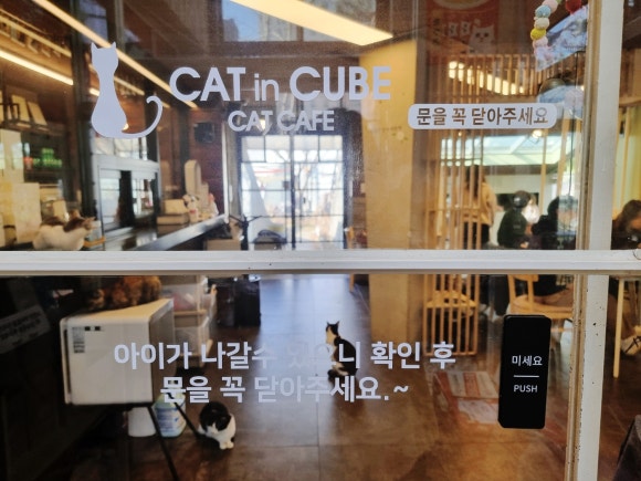 인큐브시스템 이미지