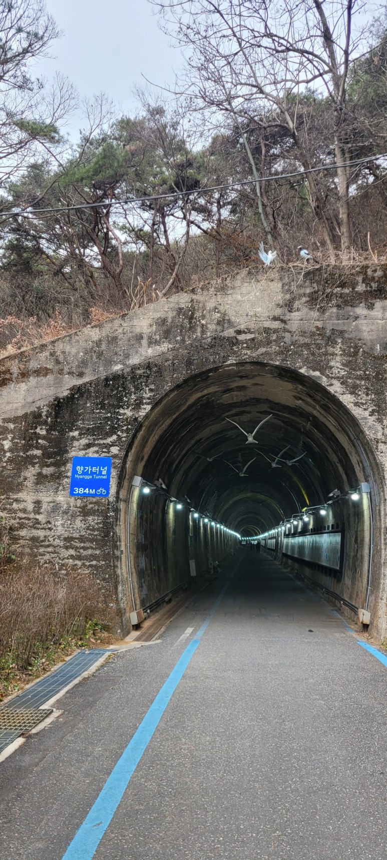 섬진강캠핑장 이미지