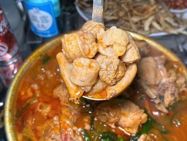 무지개포차 이미지