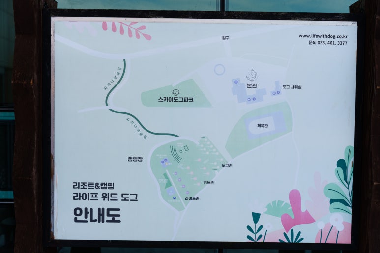 라이프위드도그 이미지