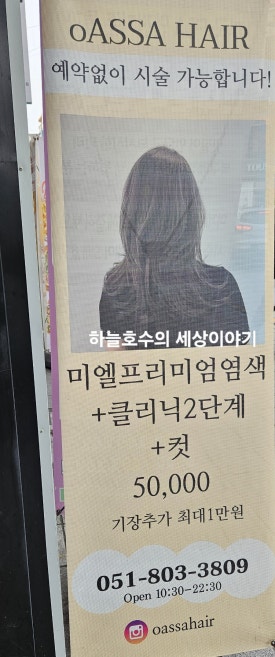 OASSA(오아사) 이미지