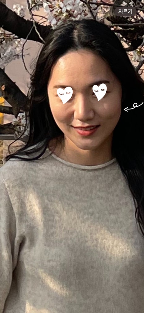 포마차 이미지