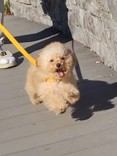 김올가 이미지
