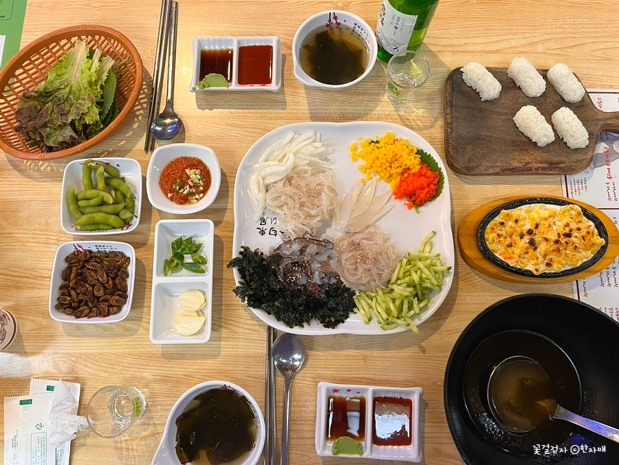 만사형통산오징어 이미지