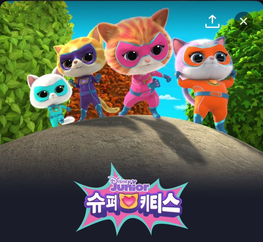 키티스 이미지