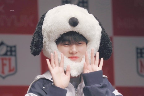 엔에프엘 이미지