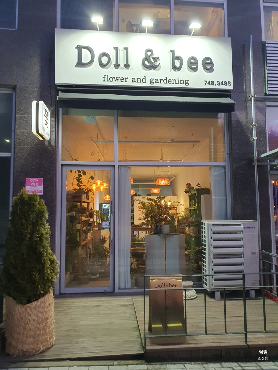 돌앤비 이미지