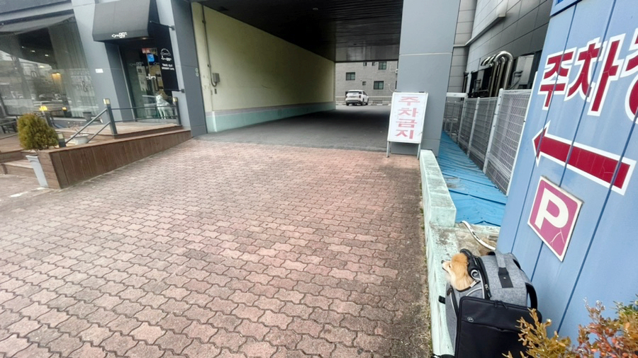 커피89도씨 이미지
