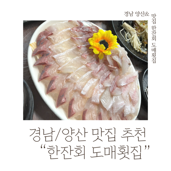 한잔회도매횟집 이미지
