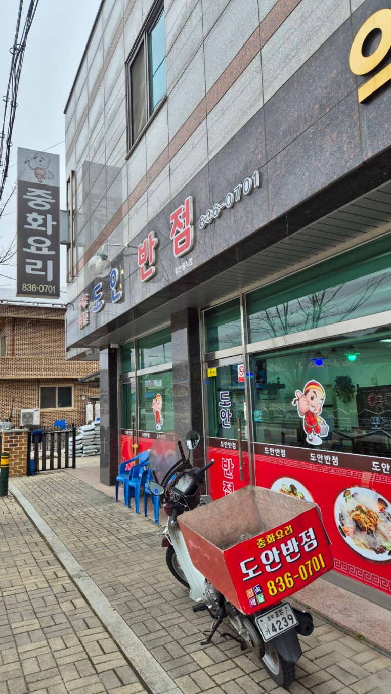 도안반점 이미지