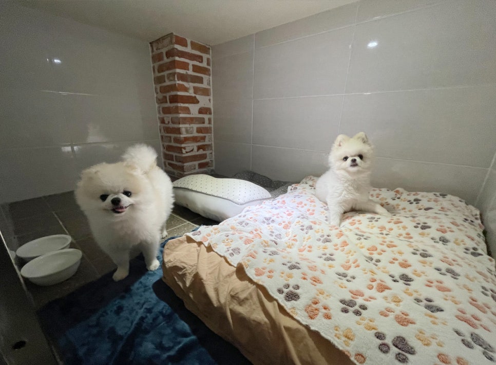 매트티쳐 이미지