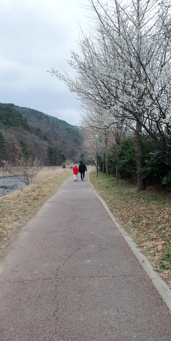 산책같은수다 이미지