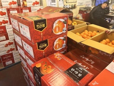 신선농수산물유통 이미지