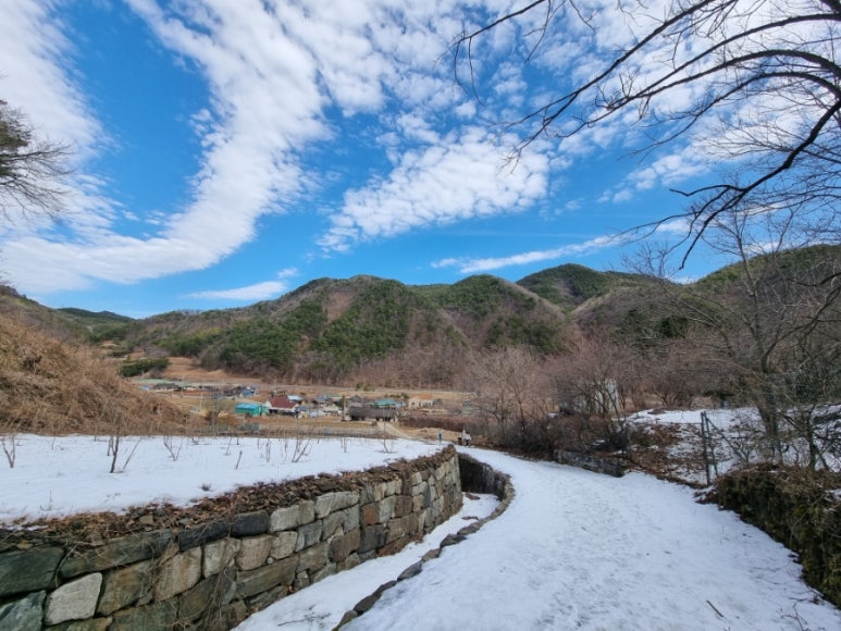 삼척동자 유아숲체험원 이미지
