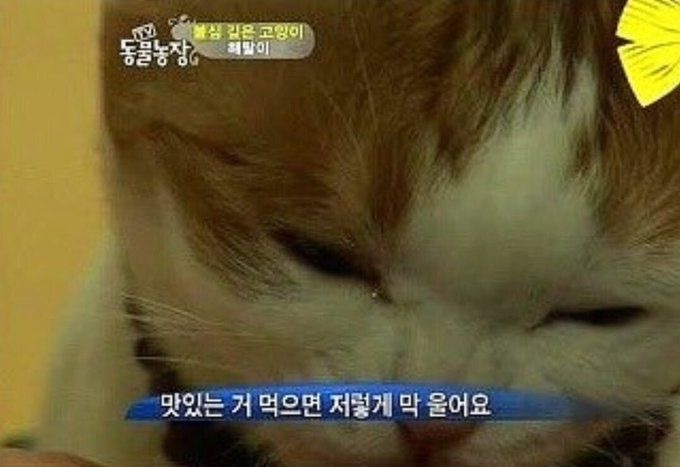 독가마숯불치킨 이미지