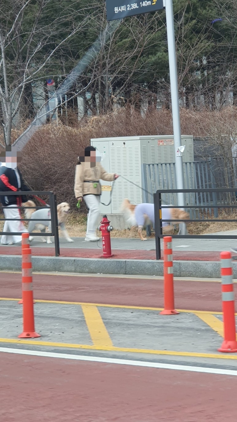 (주)더해맑음 이미지