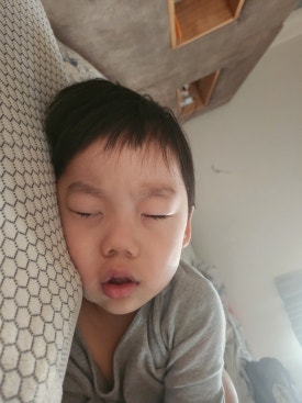 감람화원 이미지