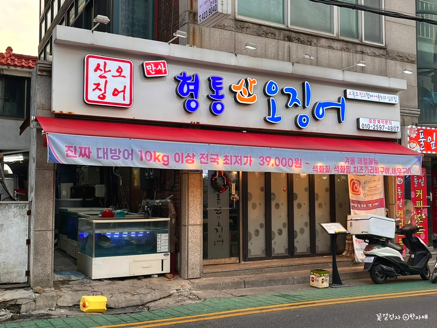 만사형통산오징어 이미지