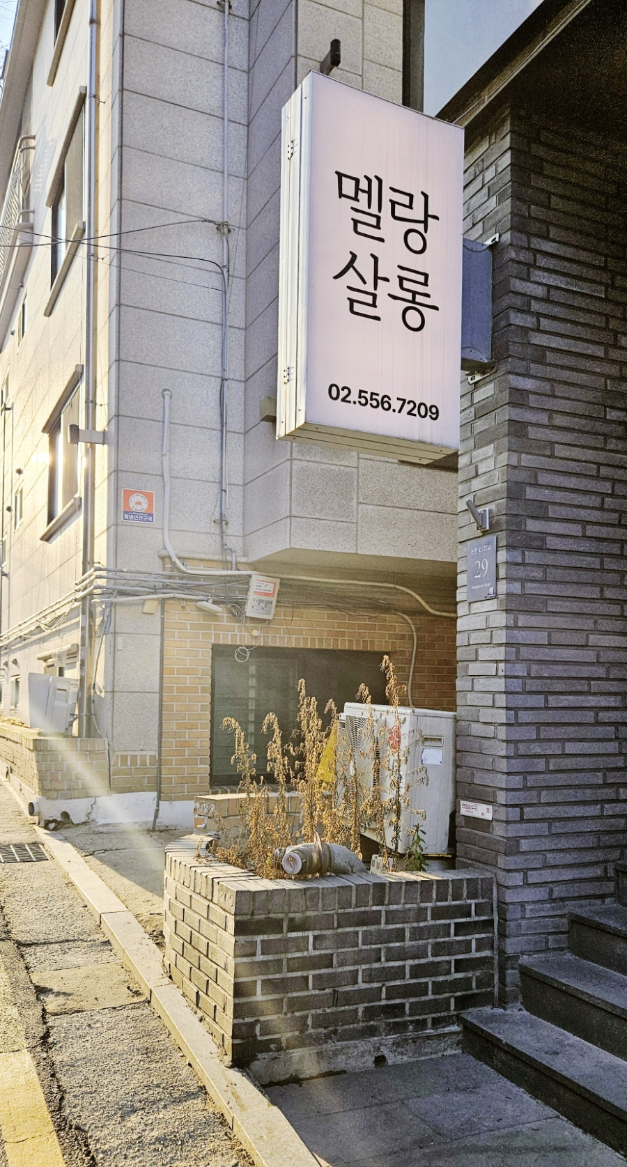 멜랑살롱 이미지