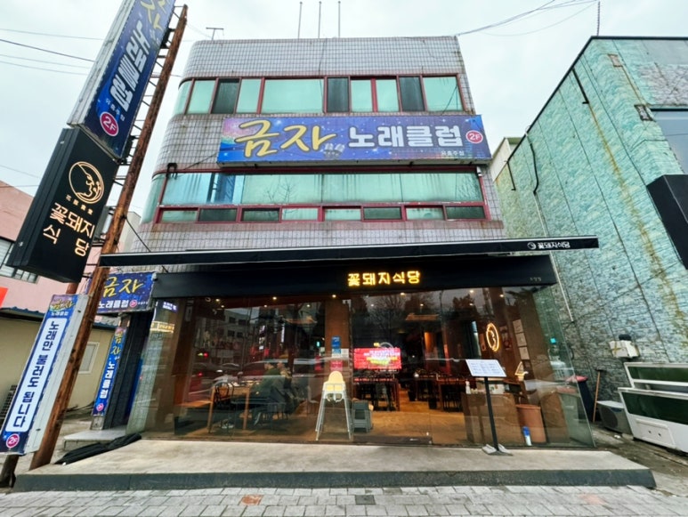 금자노래클럽 이미지