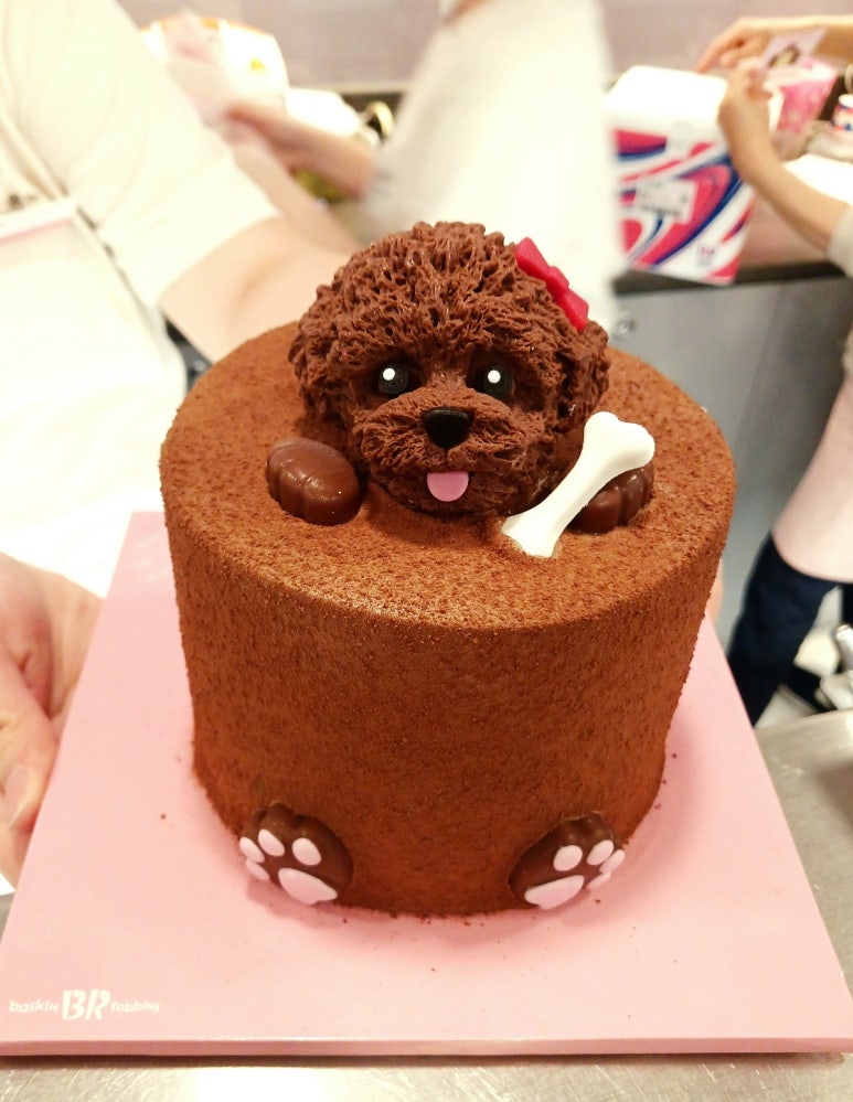 카페댕하우스 이미지