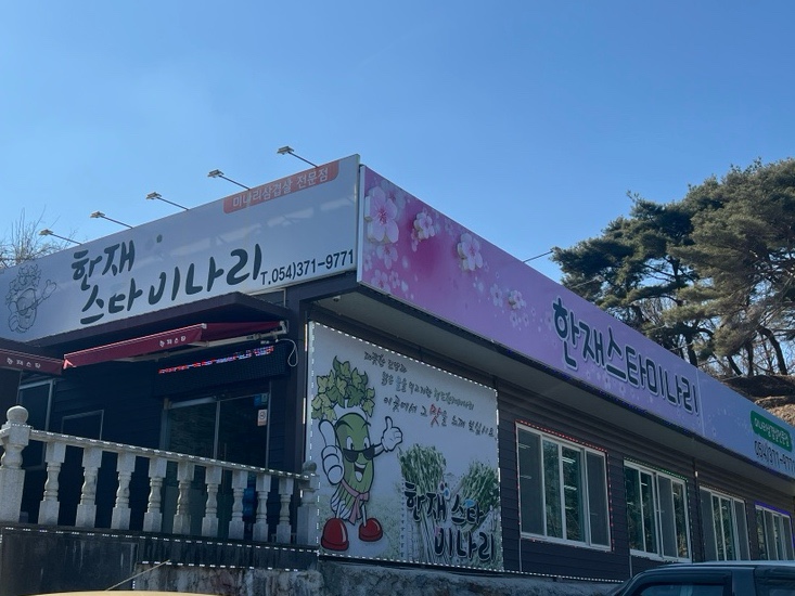 한재스타미나리 이미지