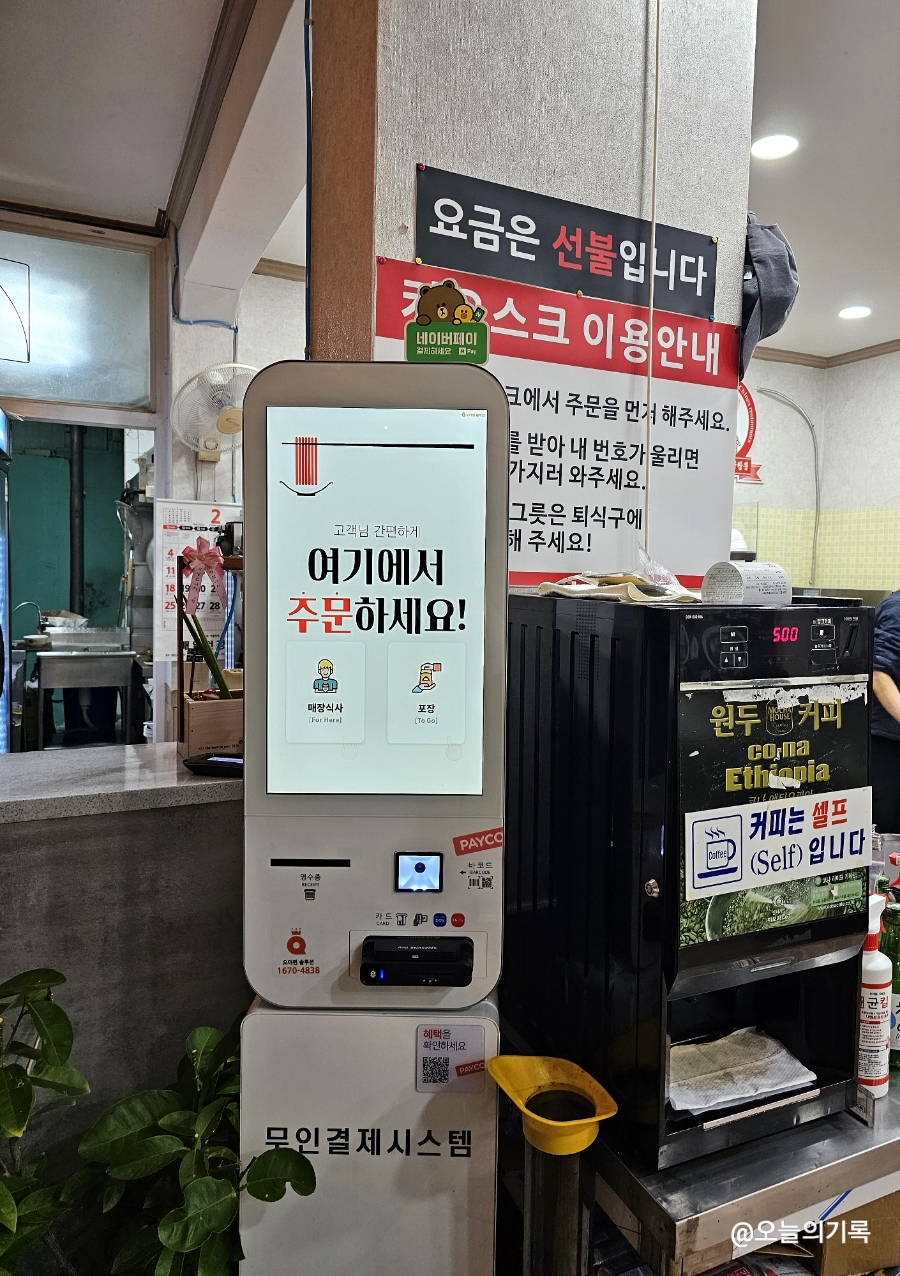 성화반점 이미지