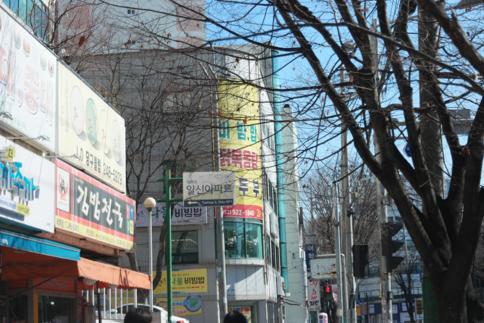 메종드테라 이미지