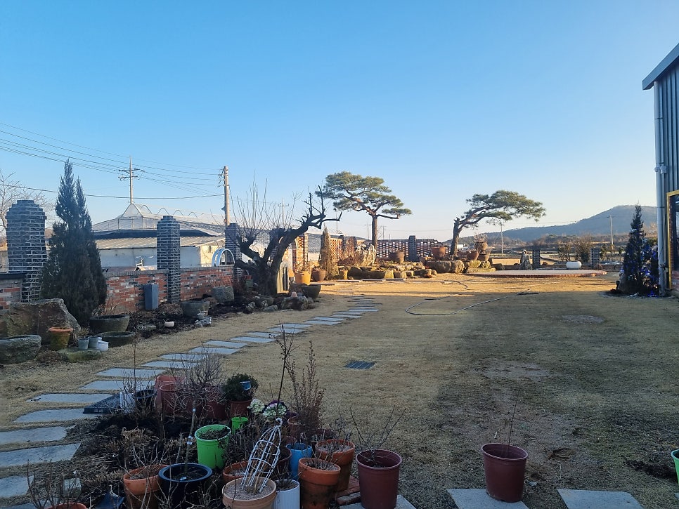 가산식물원 이미지