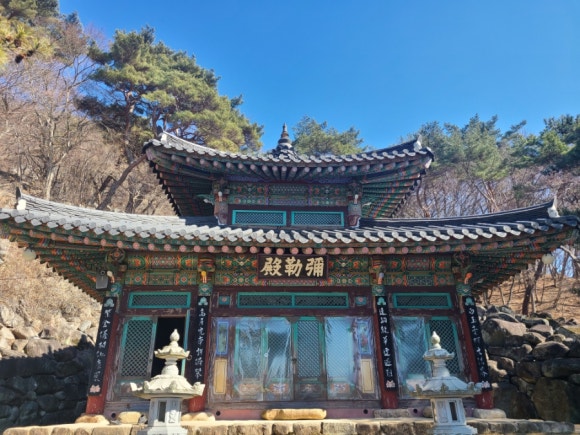강태문피자 이미지
