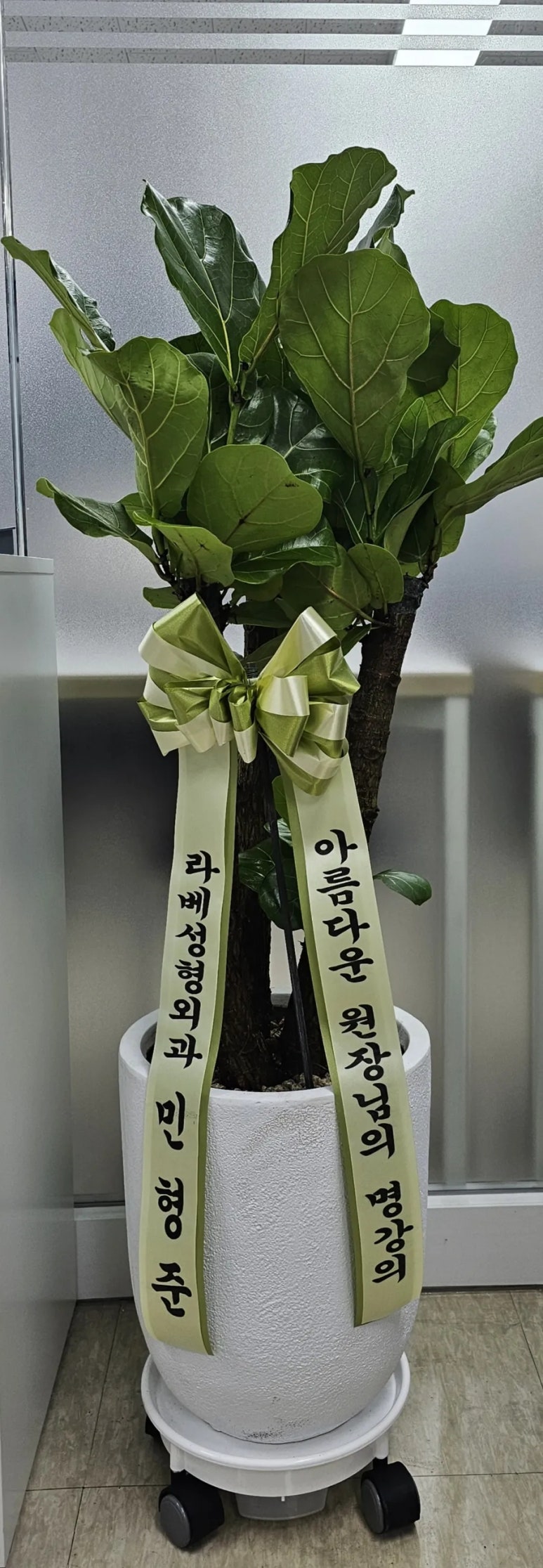 오늘도라베 이미지