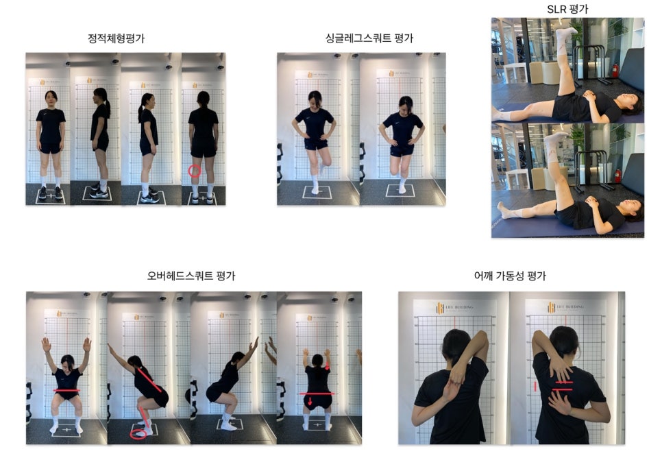 라이프빌딩PT 이미지