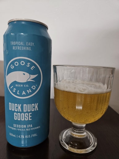 덕덕구스(DUCK DUCK GOOSE) 이미지
