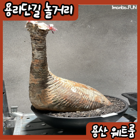 웨트룸 이미지