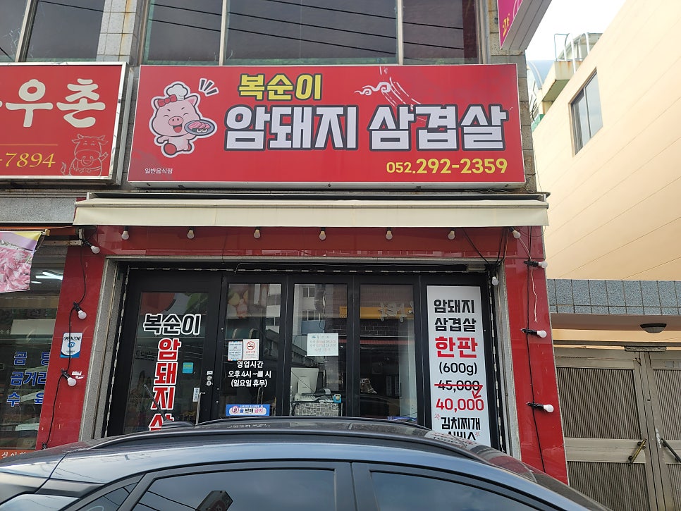 복순이암돼지 이미지