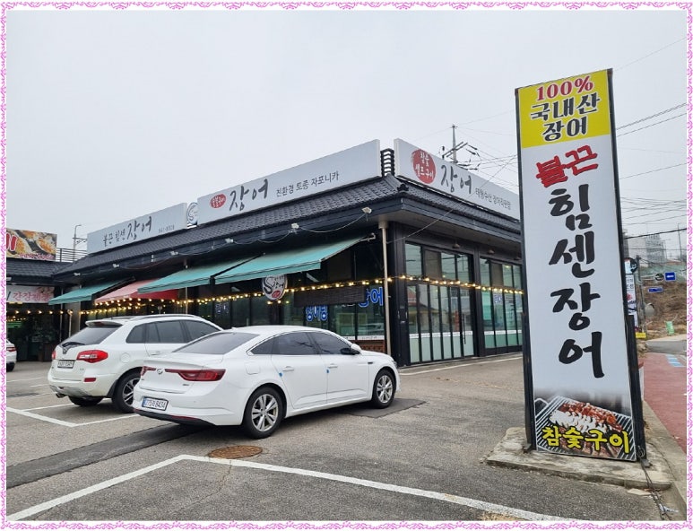 힘센장어오리 이미지
