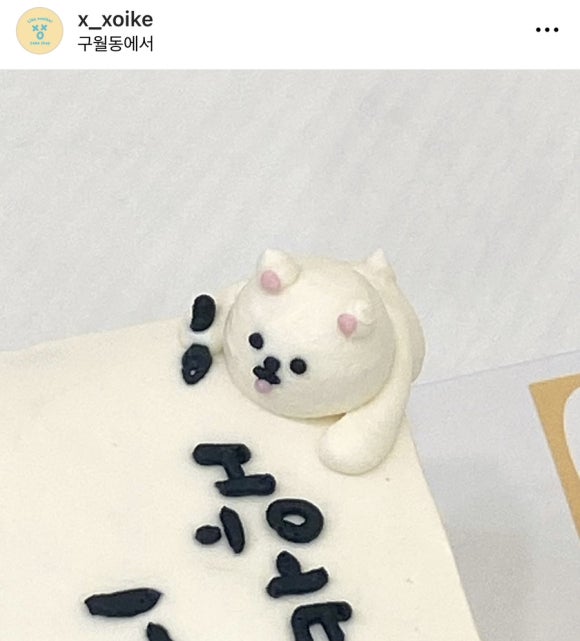 쏘이크 이미지