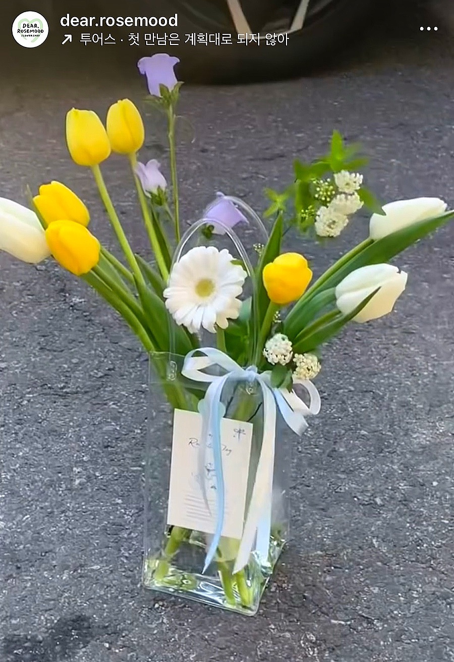 디어로즈무드 이미지