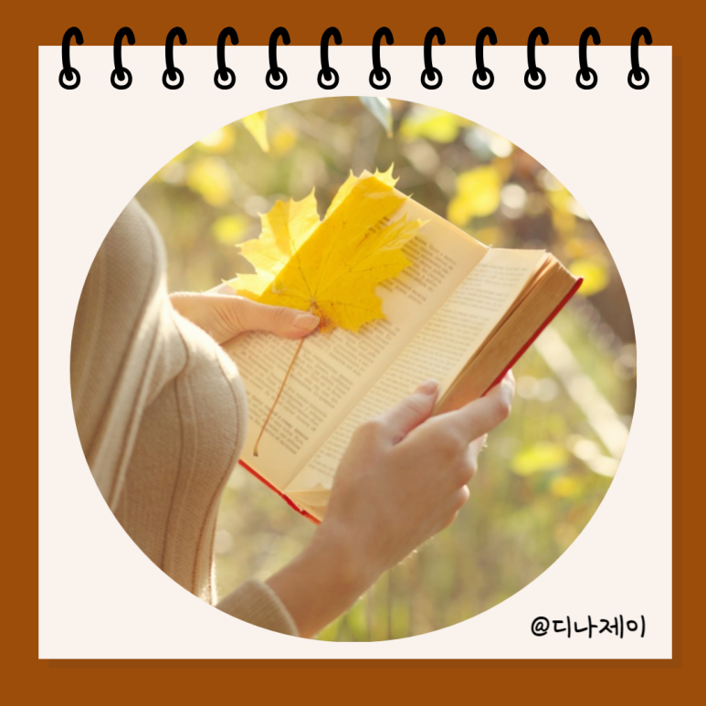 인사인디자인 이미지